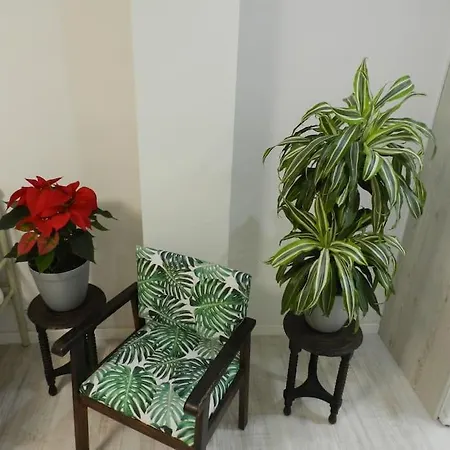 El Jardin De Paula Διαμέρισμα Σαραγόσα