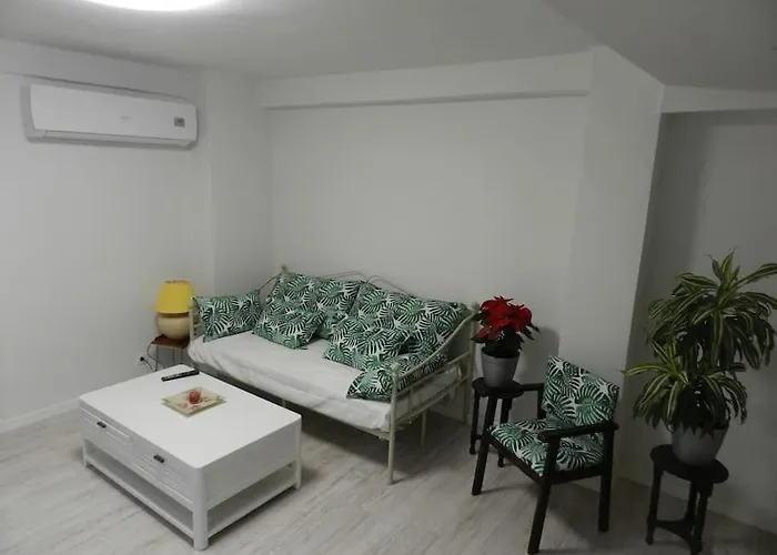 El Jardin De Paula Saragosse