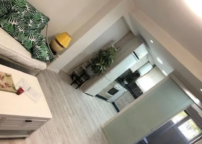 El Jardin De Paula *